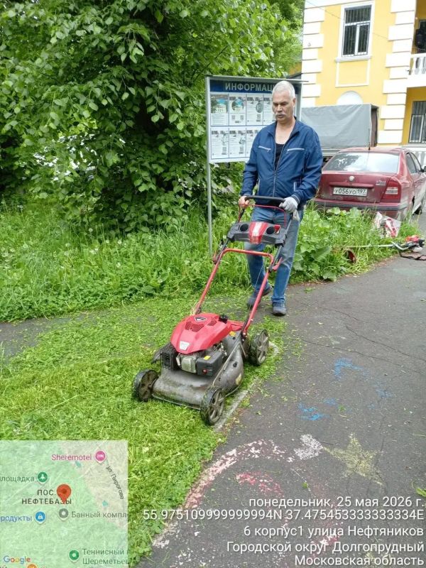 На улицах Долгопрудного работает «городской кот» На улицах Долгопрудного работает «городской кот»