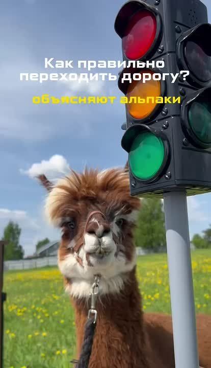 Даже привычный маршрут требует внимания