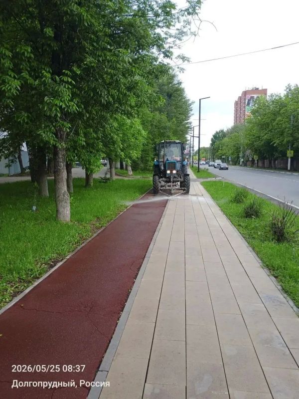 На улицах Долгопрудного работает «городской кот» На улицах Долгопрудного работает «городской кот»