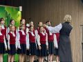 Не про буквы, а про память: в ступинском парке прошёл концерт ко Дню славянской письменности