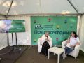 В минувшие выходные в Дмитрове впервые прошёл масштабный семейный фестиваль «ПредпоЧтения», собравший почти 3000 гостей
