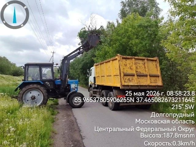 На улицах Долгопрудного работает «городской кот» На улицах Долгопрудного работает «городской кот»