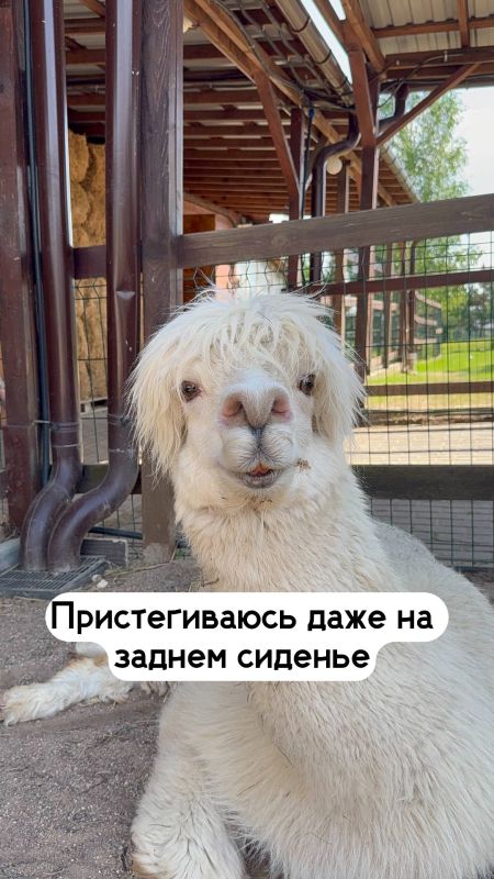 А какое у вас сегодня настроение? А какое у вас сегодня настроение?