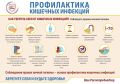 О мерах профилактики острых кишечных инфекций