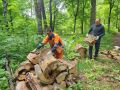 В Красноармейске добровольцы привели в порядок лесопарк рядом со школой