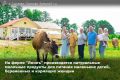 В День российского предпринимательства принято поздравлять тех, кто открыл своё дело