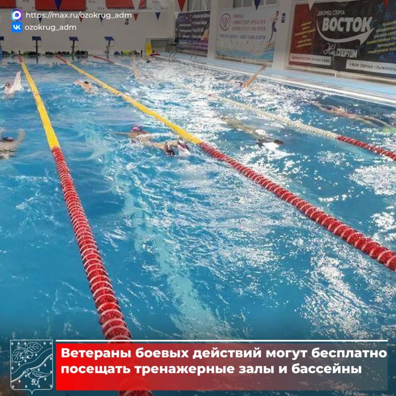 Ветераны боевых действий в Орехово-Зуевском округе могут воспользоваться муниципальными мерами поддержки, которые охватывают разные сферы жизни