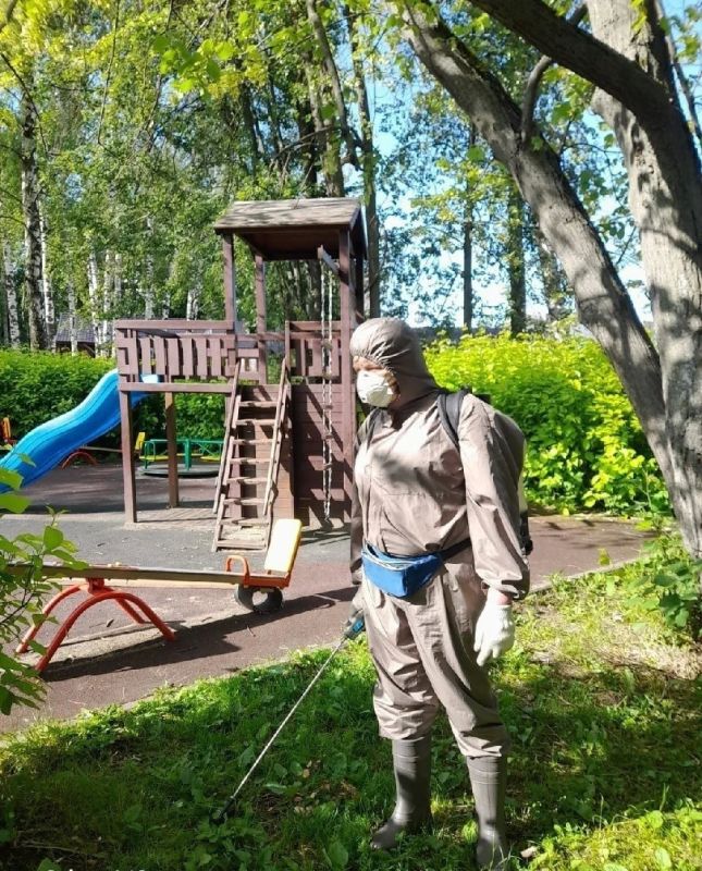 В Долгопрудном ликвидируют очаги борщевика В Долгопрудном ликвидируют очаги борщевика