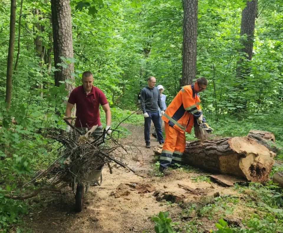 В Красноармейске добровольцы привели в порядок лесопарк рядом со школой В Красноармейске добровольцы привели в порядок лесопарк рядом со школой