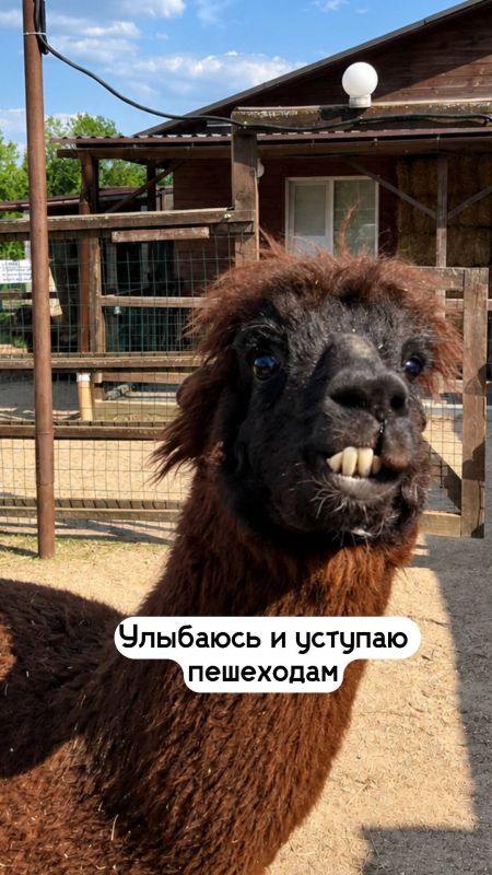 А какое у вас сегодня настроение? А какое у вас сегодня настроение?