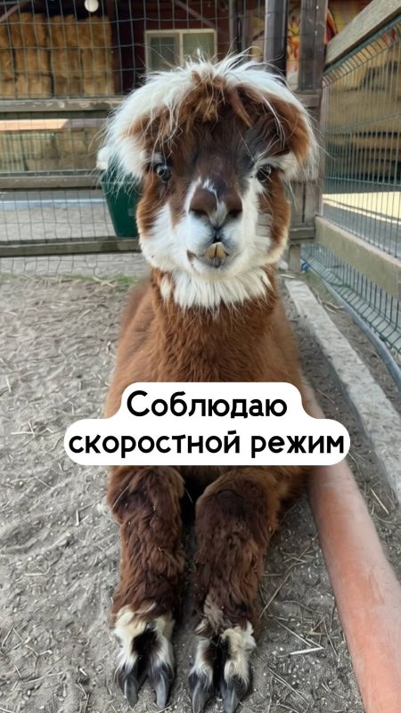 А какое у вас сегодня настроение? А какое у вас сегодня настроение?