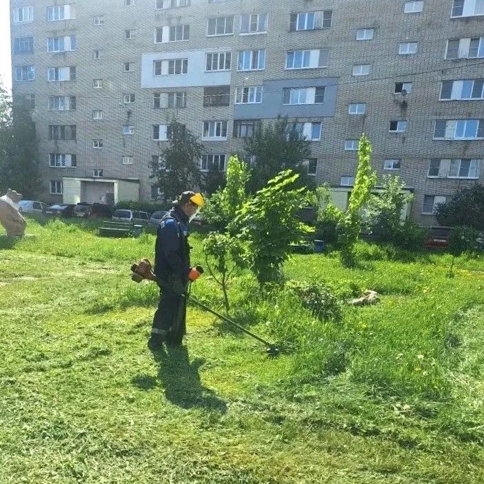 За минувшую неделю рабочие устранили 1000 м ям