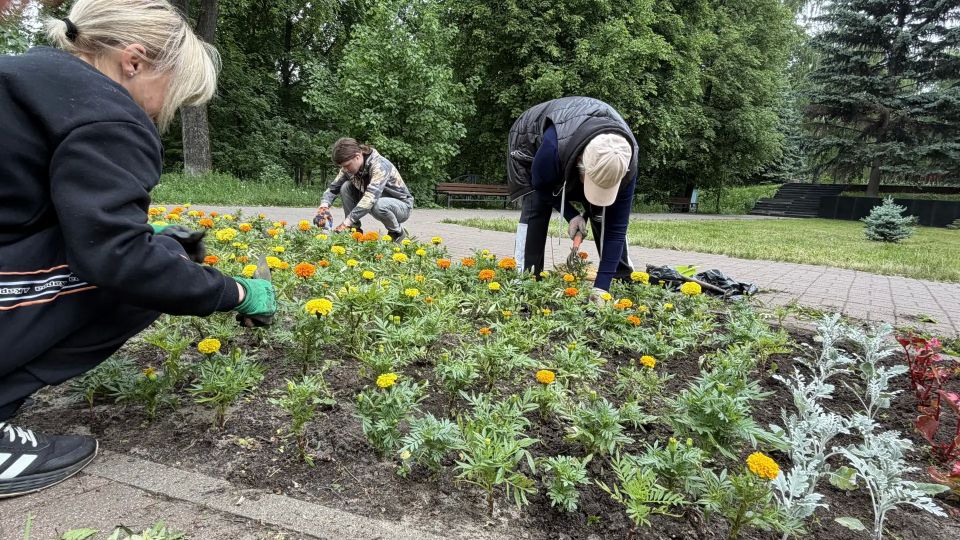 В сквере Победы в Дзержинском проходят работы по благоустройству и озеленению В сквере Победы в Дзержинском проходят работы по благоустройству и озеленению