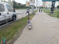 В Долгопрудном эвакуируют брошенные электросамокаты