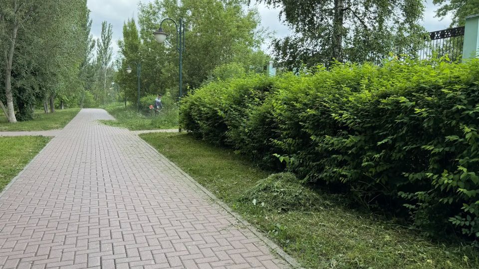 В сквере Победы в Дзержинском проходят работы по благоустройству и озеленению В сквере Победы в Дзержинском проходят работы по благоустройству и озеленению