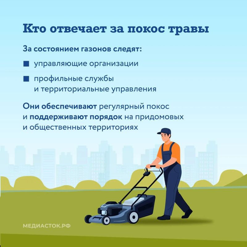 В Подмосковье рассказали, как коммунальные службы ухаживают за газонами во дворах В Подмосковье рассказали, как коммунальные службы ухаживают за газонами во дворах