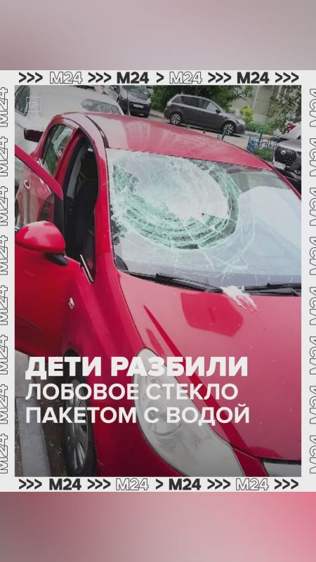 Школьников, разбивших лобовое стекло машины в Подольске, разыскивает полиция