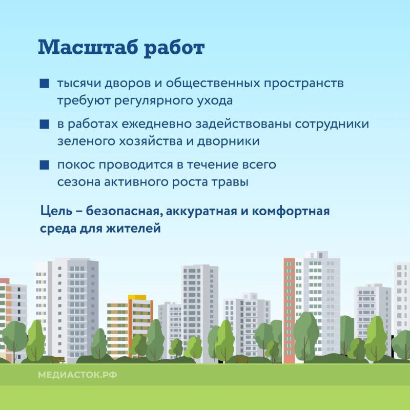 В Подмосковье рассказали, как коммунальные службы ухаживают за газонами во дворах В Подмосковье рассказали, как коммунальные службы ухаживают за газонами во дворах