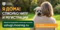 Помните историю Честера из Павлово-Посадского округа?