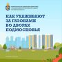 В Подмосковье рассказали, как коммунальные службы ухаживают за газонами во дворах