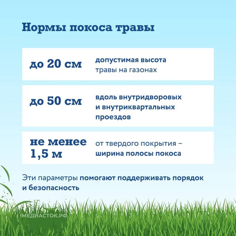 В Подмосковье рассказали, как коммунальные службы ухаживают за газонами во дворах В Подмосковье рассказали, как коммунальные службы ухаживают за газонами во дворах