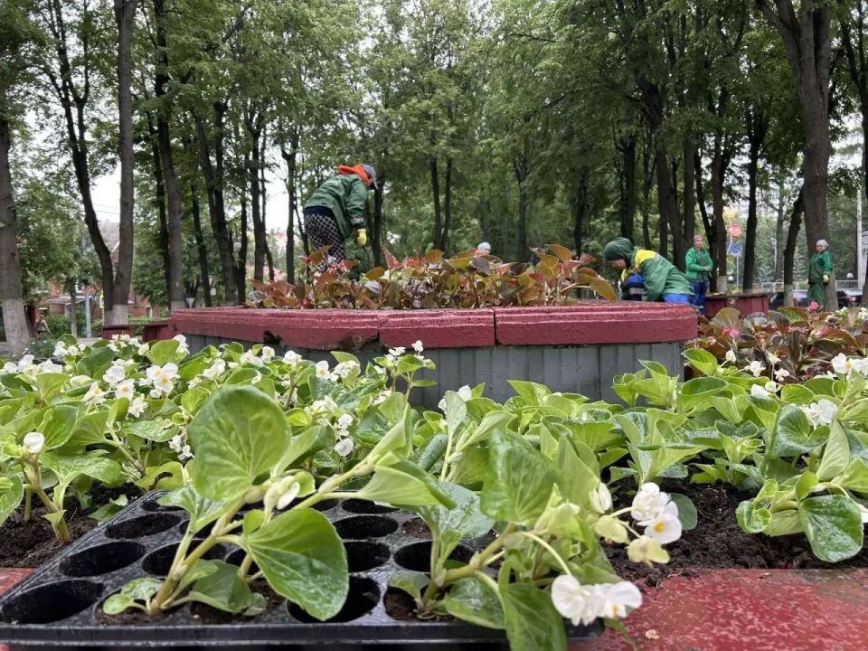 В подмосковном Ленинском городском округе стартовал сезон высадки цветочных растений В подмосковном Ленинском городском округе стартовал сезон высадки цветочных растений