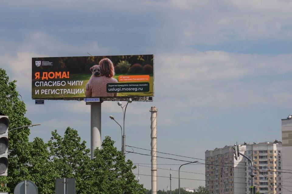 Помните историю Честера из Павлово-Посадского округа? Помните историю Честера из Павлово-Посадского округа?