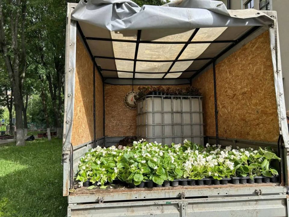 В подмосковном Ленинском городском округе стартовал сезон высадки цветочных растений В подмосковном Ленинском городском округе стартовал сезон высадки цветочных растений