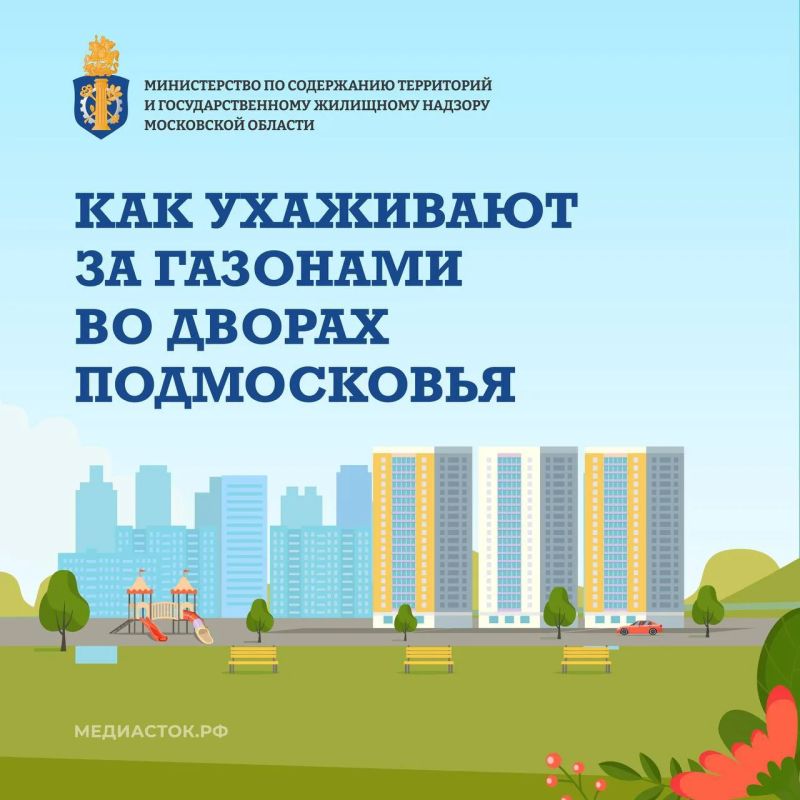 В Подмосковье рассказали, как коммунальные службы ухаживают за газонами во дворах