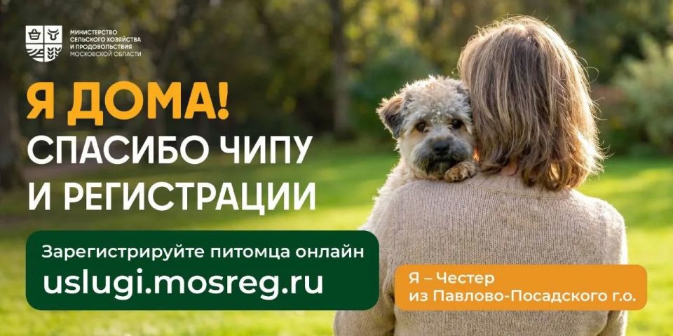 Помните историю Честера из Павлово-Посадского округа?