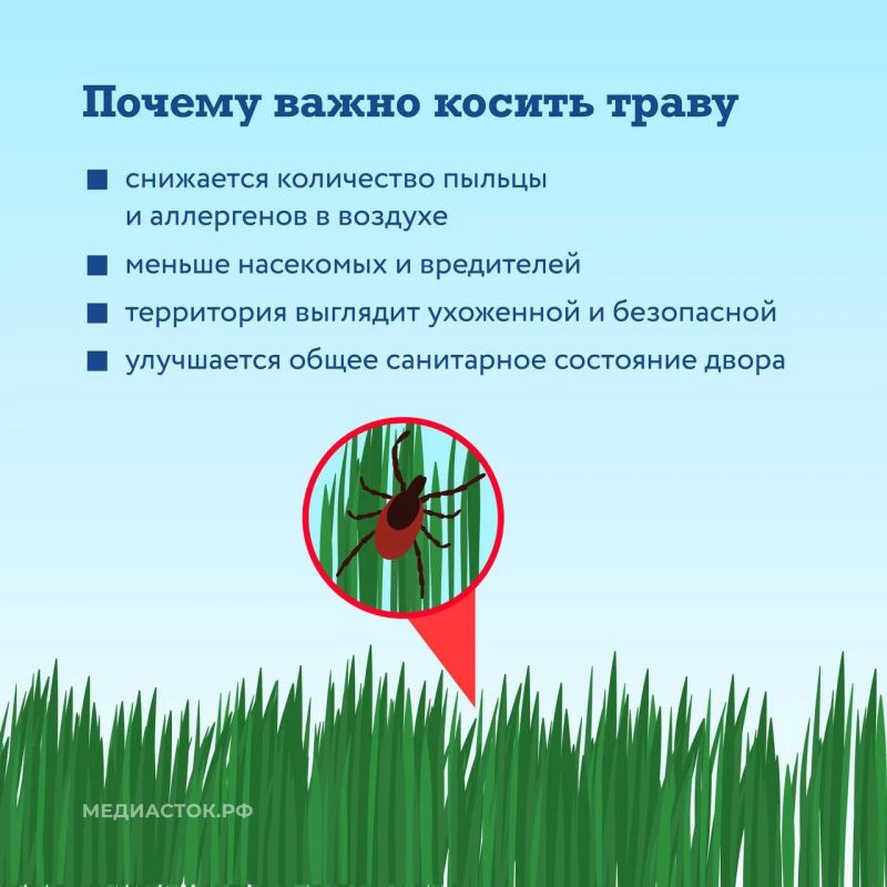 В Подмосковье рассказали, как коммунальные службы ухаживают за газонами во дворах В Подмосковье рассказали, как коммунальные службы ухаживают за газонами во дворах