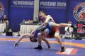 4 медали завоевали подмосковные борцы на чемпионате России в Суздале
