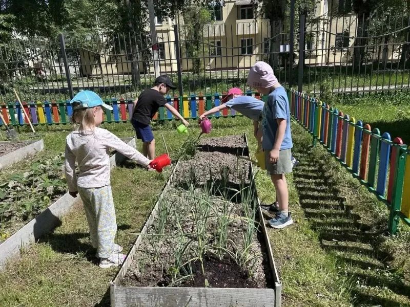 Реабилитация через огород: как забота о растениях помогает детям в социальном центре "Воскресенский"