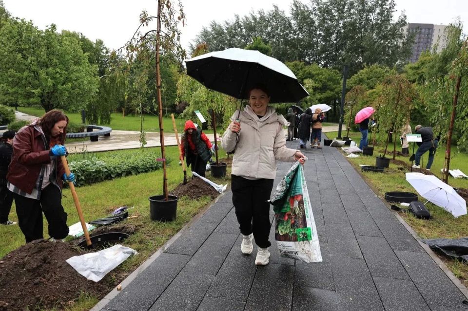 Яблоневая аллея от Нежного бизнеса Яблоневая аллея от Нежного бизнеса