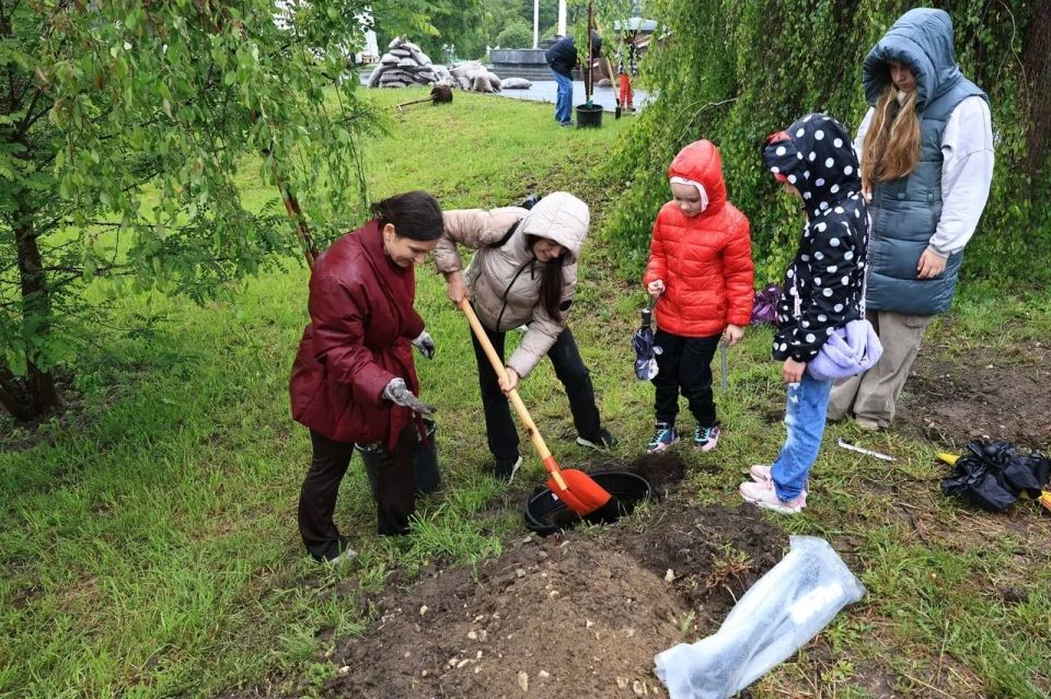 Яблоневая аллея от Нежного бизнеса Яблоневая аллея от Нежного бизнеса