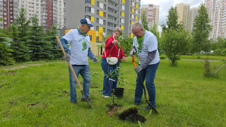 «Сад памяти»: в Химках высадили деревья в честь героев войны «Сад памяти»: в Химках высадили деревья в честь героев войны