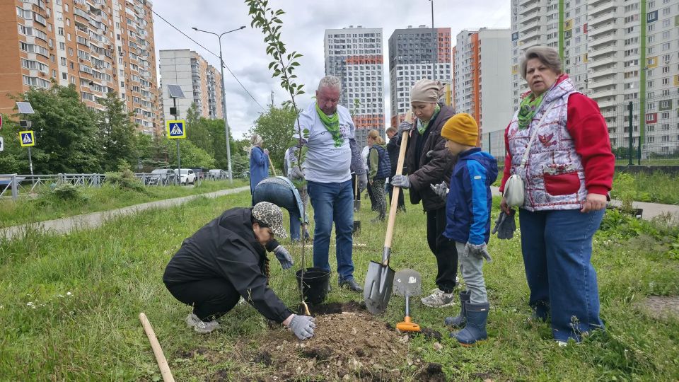 «Сад памяти»: в Химках высадили деревья в честь героев войны «Сад памяти»: в Химках высадили деревья в честь героев войны