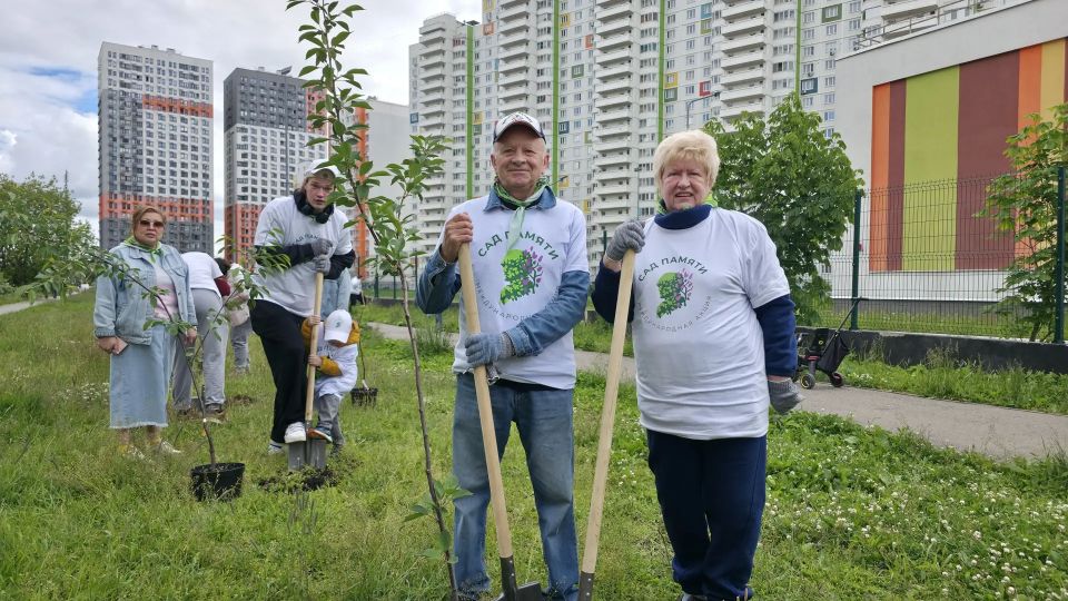 «Сад памяти»: в Химках высадили деревья в честь героев войны «Сад памяти»: в Химках высадили деревья в честь героев войны