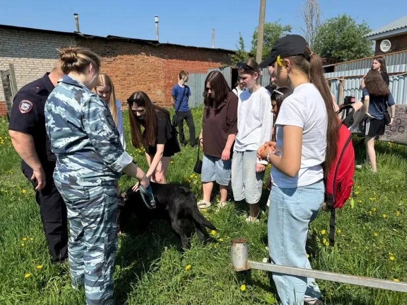 В Сергиевом Посаде полицейские провели «День открытых дверей» для студентов В Сергиевом Посаде полицейские провели «День открытых дверей» для студентов