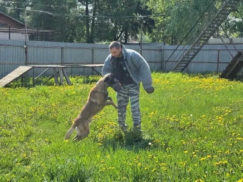 В Сергиевом Посаде полицейские провели «День открытых дверей» для студентов В Сергиевом Посаде полицейские провели «День открытых дверей» для студентов