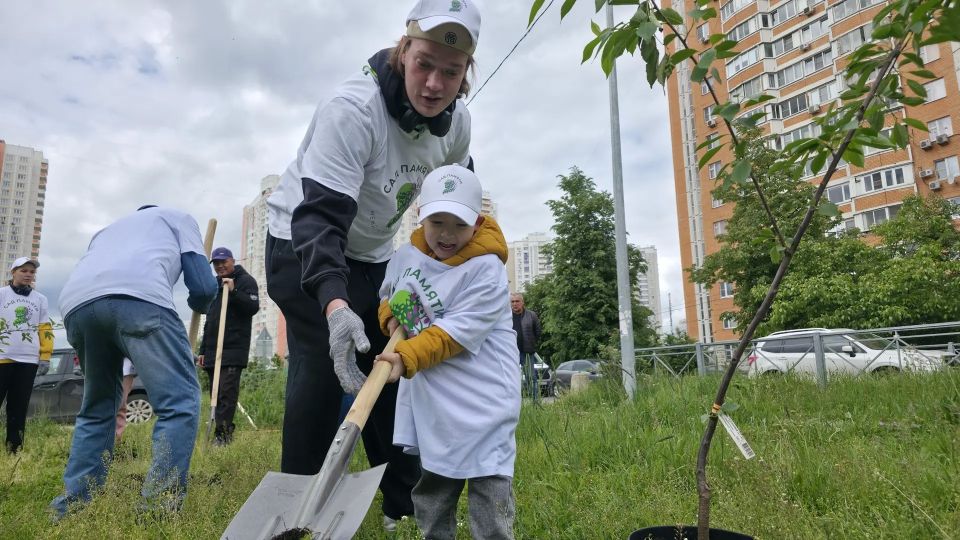 «Сад памяти»: в Химках высадили деревья в честь героев войны «Сад памяти»: в Химках высадили деревья в честь героев войны