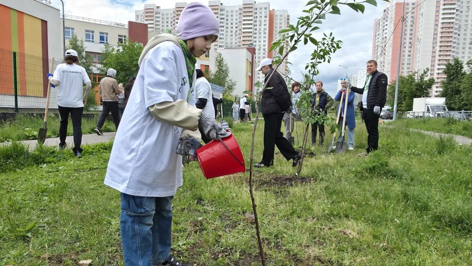 «Сад памяти»: в Химках высадили деревья в честь героев войны «Сад памяти»: в Химках высадили деревья в честь героев войны