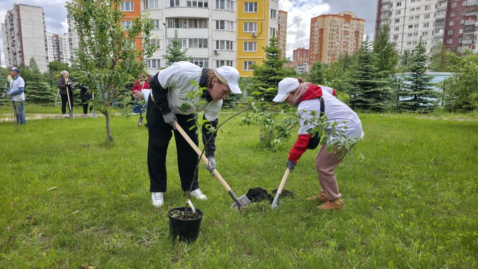 «Сад памяти»: в Химках высадили деревья в честь героев войны