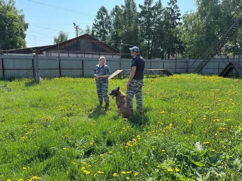 В Сергиевом Посаде полицейские провели «День открытых дверей» для студентов В Сергиевом Посаде полицейские провели «День открытых дверей» для студентов