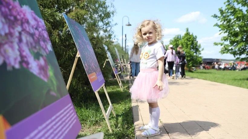 Фестиваль сирени в Солнечногорске - уже сегодня! Фестиваль сирени в Солнечногорске - уже сегодня!