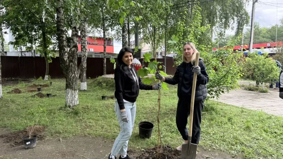 «Сад памяти»: в Химках высадили деревья в честь героев войны «Сад памяти»: в Химках высадили деревья в честь героев войны
