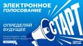 Завершается предварительное голосование партии «Единая Россия»