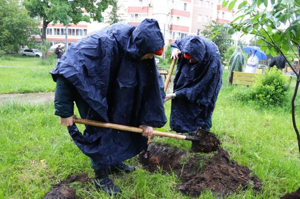 Заключительный этап международной акции «Сад Памяти» прошел в Мытищах Заключительный этап международной акции «Сад Памяти» прошел в Мытищах