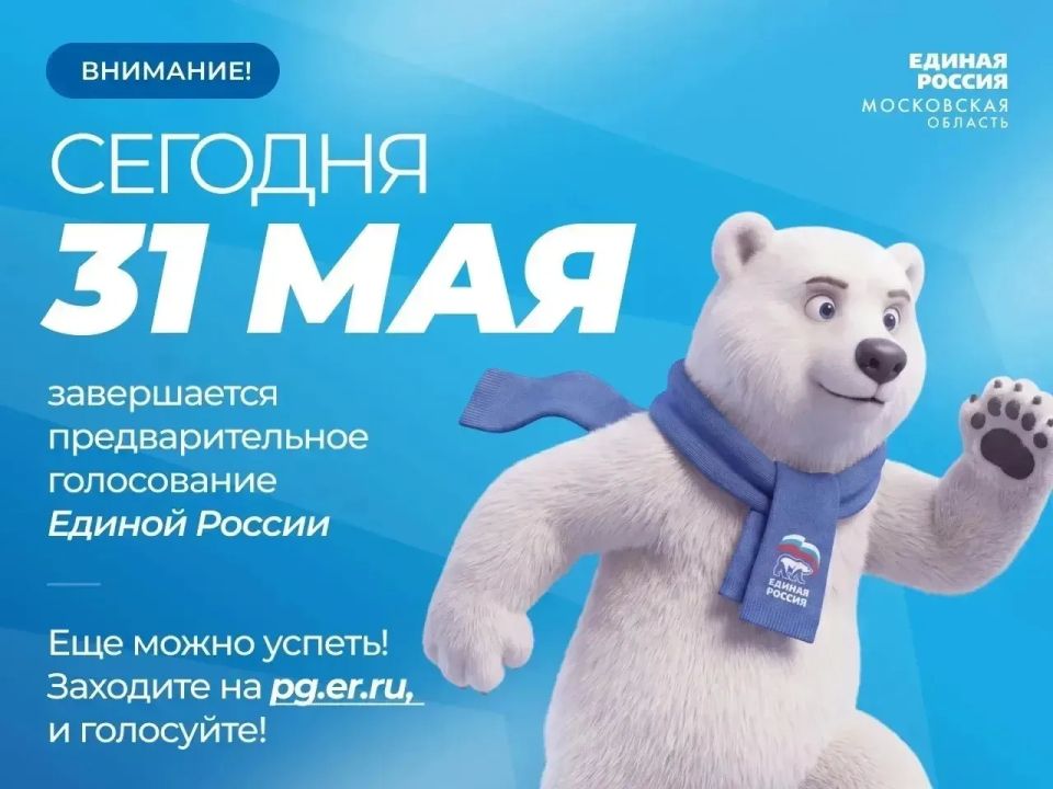 Электронное предварительное голосование Единой России выходит на финишную прямую