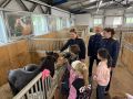 В преддверии Международного дня защиты детей для детей сотрудников управления организована экскурсия в конноспортивный клуб